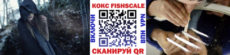 COCAIN Эквадор  Купить закладки  Сосновка 